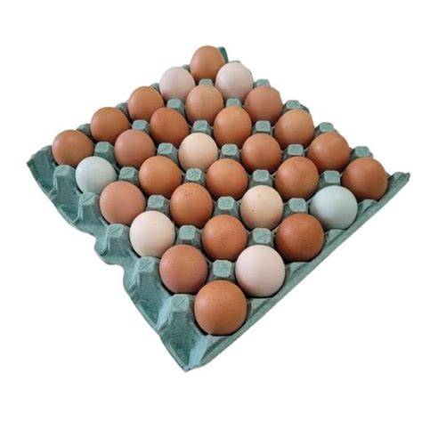 Ovos pente de com 30 UN